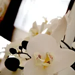 公寓 Citylux Apartman-ingyenes Parkolas *